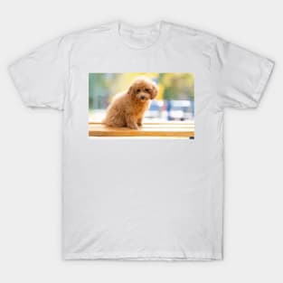 Poodle Puppy Digital Painting T-Shirt